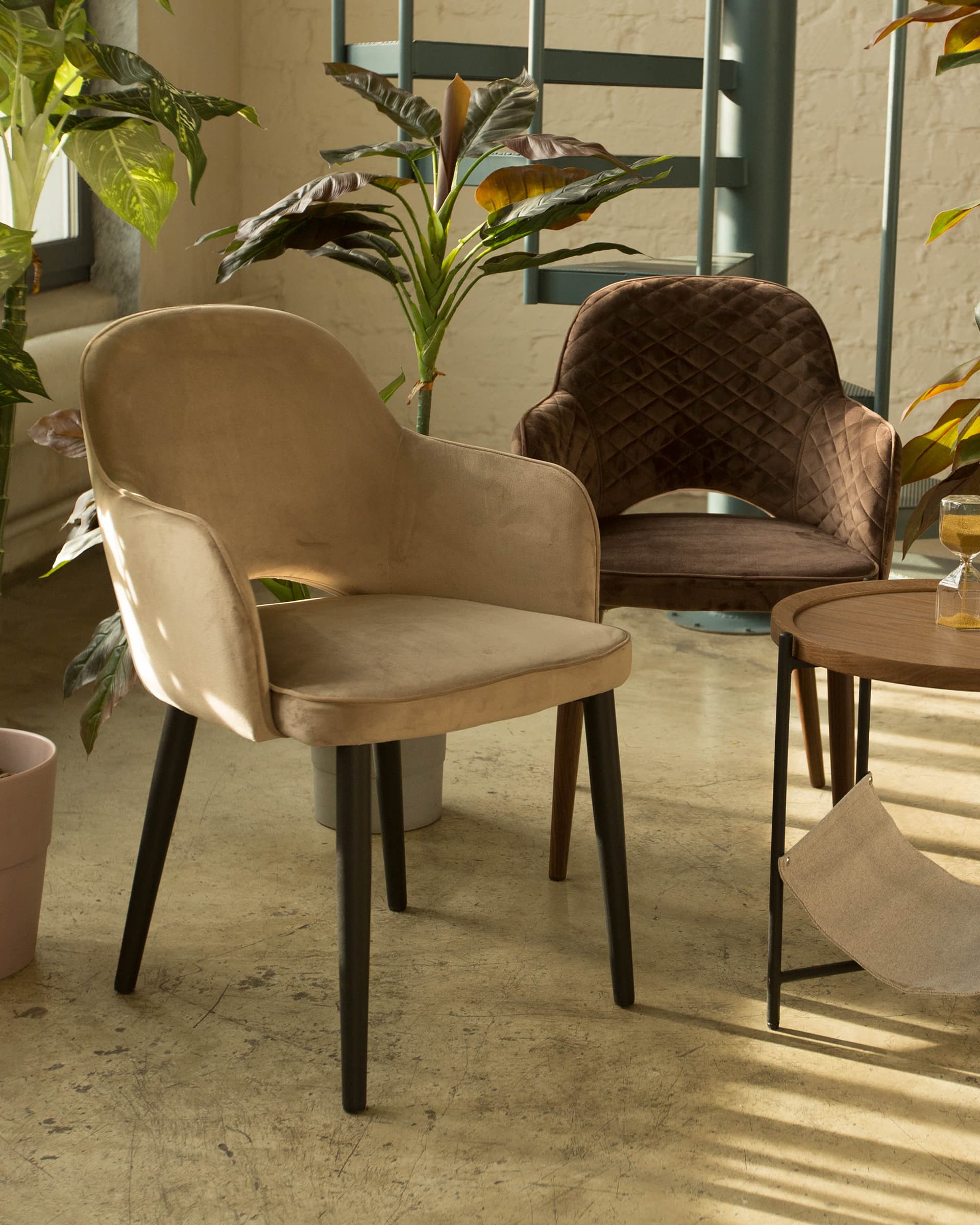 Стул Венера диамант велюр коричневый из Италии